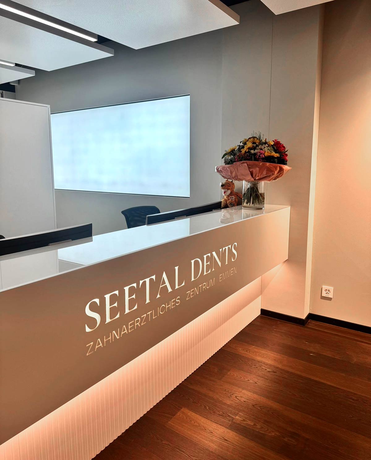 Zahnärzte Seetal Dents